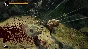 9 MONKEYS OF SHAOLIN + ASH OF GODS + REDEEMER: BUNDLE