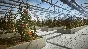 PURE FARMING 2018 DIGITAL DELUXE EDITION❗XBOX key❗