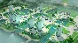 TWO POINT HOSPITAL AND TWO POINT CAMPUS DOUBLE PACK🔑PC