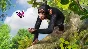 ❗ZOO TYCOON❗XBOX ONE/X|S🔑KEY❗