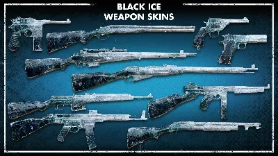 Zombie Army 4: Black Ice Weapon Skins DLC - STEAM RU