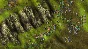 Knights and Merchants Historical Version 💎STEAM KEY