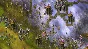 Knights and Merchants Historical Version 💎STEAM KEY