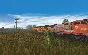 Trainz 2022 DLC - Leadville Subdivision * STEAM RU ⚡