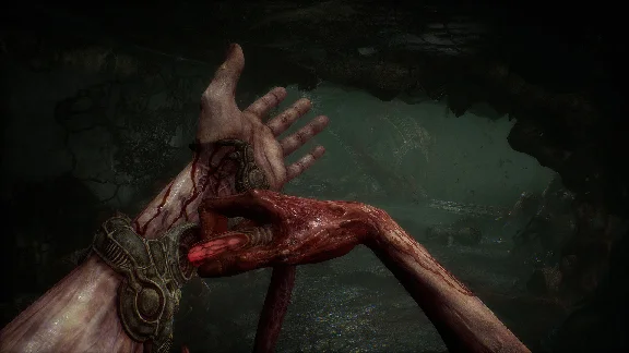 Scorn Deluxe Edition * STEAM RU ⚡ АВТО 💳0%