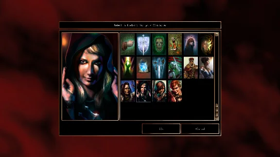 Neverwinter Nights: Enhanced Edition Heroes of Neverwin