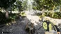 Animal Shelter * STEAM RU ⚡ AUTO 💳0%