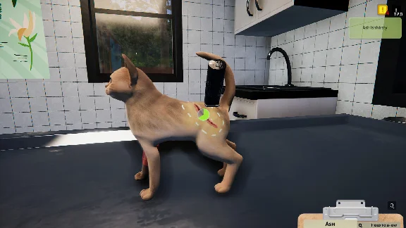 Animal Shelter - Puppies & Kittens DLC * STEAM RU ⚡