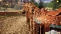 Animal Shelter - Horse Shelter DLC * STEAM RU ⚡