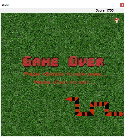 Sources of the game Snake C# Windows Forms