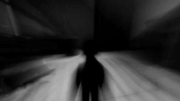 Lucius - EU / USA (Region Free / Steam)
