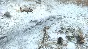 Syrian Warfare: Return to Palmyra DLC * STEAM RU ⚡