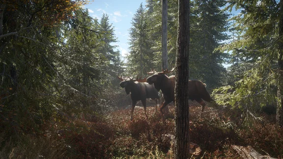 theHunter: Call of the Wild · Steam Gift🚀AUTO💳0%