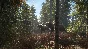 theHunter: Call of the Wild · Steam Gift🚀AUTO💳0%