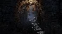 Warhammer: End Times - Vermintide Collector´s Edition D