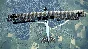 IL-2 Sturmovik: Flying Circus - Volume II DLC