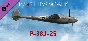 IL-2 Sturmovik: P-38J-25 Collector Plane DLC