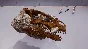 Dinosaur Fossil Hunter - Raptor DLC * STEAM RU ⚡