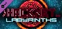 Hacknet - Labyrinths DLC * STEAM RU ⚡ AUTO 💳0%