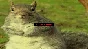 Squirrel Stapler * STEAM RU ⚡ AUTO 💳0%