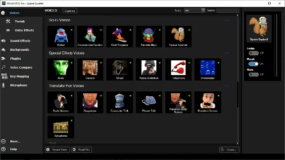 MorphVOX Pro 5 * STEAM RU ⚡ AUTO 💳0%
