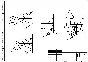 Album of tasks on the engineering drawing