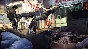 ❗SLEEPING DOGS DEFINITIVE EDITION❗XBOX ONE/X|S🔑КЛЮЧ