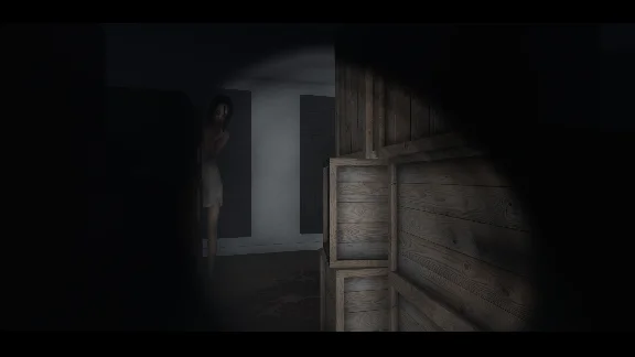 Within Skerry (Steam key / Region Free)