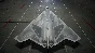 ACE COMBAT™ 7: SKIES UNKNOWN - FB-22 Strike Raptor Set