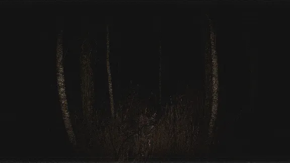 Paranormal VHS 💎 STEAM GIFT RUSSIA