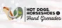 Hot Dogs, Horseshoes & Hand Grenades 💎 STEAM GIFT RU