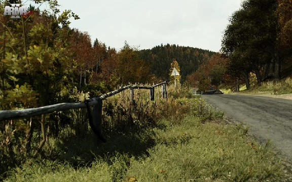 ARMA X: Anniversary Edition (Steam Gift /Reg Free)+DayZ