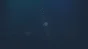 🔥 Rune Gate | Steam RU+UA+KZ+CIS 🔥