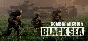 Combat Mission Black Sea * STEAM RU ⚡ AUTO 💳0%