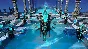 Age of Wonders: Planetfall - Revelations DLC