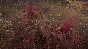 Surviving the Aftermath Ultimate Colony Edition DLC