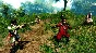 Risen 2: Dark Waters * STEAM RU ⚡ АВТО 💳0%