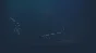 🔥 PAYDAY 3 | Steam Russia 🔥