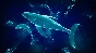 Breath Of The Depth STEAM KEY REGION FREE GLOBAL ROW 🎁