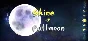 Shine of Fullmoon STEAM KEY REGION FREE GLOBAL ROW + 🎁