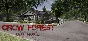 Crow Forest: New World STEAM KEY REGION FREE GLOBAL ROW