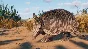 Planet Zoo: Grasslands Animal Pack DLC STEAM ⚡️AUTO