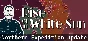 Rise Of The White Sun * STEAM RU ⚡ AUTO 💳0%