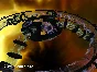 MDK 2 * STEAM РОССИЯ ⚡ АВТОДОСТАВКА 💳0% КАРТЫ