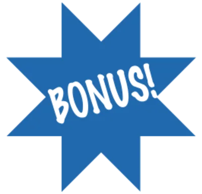 Script issuing bonuses to the site
