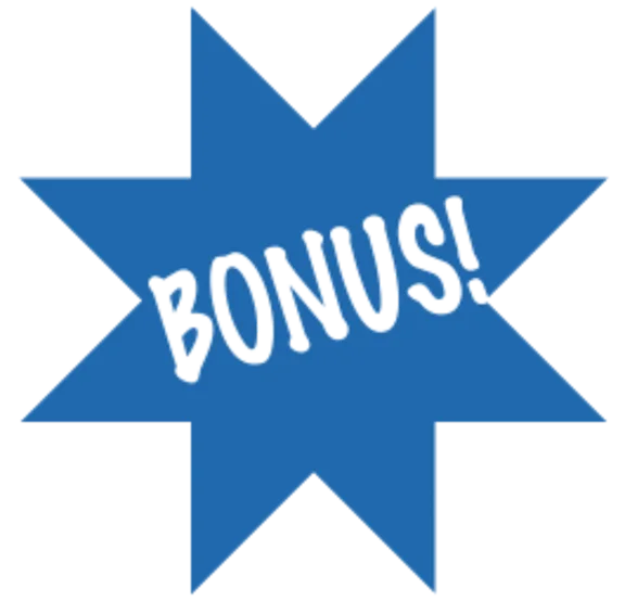 Script issuing bonuses to the site
