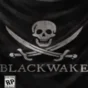 💚 Blackwake 🎁 STEAM/СТИМ GIFT 💚 ТУРЦИЯ | ПК