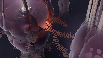 Cocoon STEAM•RU ⚡️АВТОДОСТАВКА 💳0%