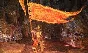 🔑XBOX KEY🧶ELDEN RING Standard Edition🧶