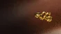 🌎The Crew Motorfest: Bronze Pack XBOX Activation🎁
